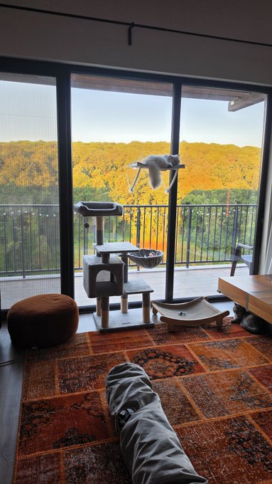 A cat leaps gracefully in mid-air inside a sunlit room featuring a large window with a scenic view of rolling hills. A modern cat tree, scratching post, and patterned rug complete the cozy indoor cat sanctuary, fitting the post's theme of taking a break from daily trading to relax at home.