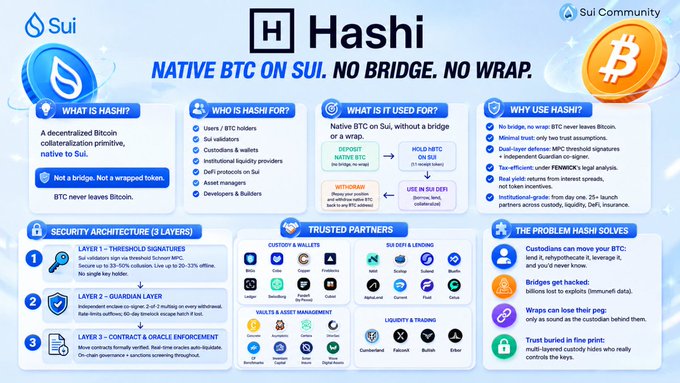 An informational graphic about 'Hashi' - Native BTC on Sui, detailing its security architecture, trusted partners, and problem-solving features.