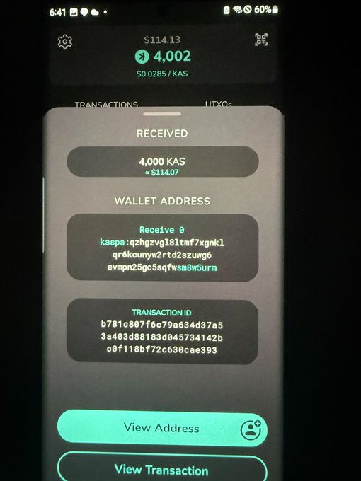 A screenshot of a mobile cryptocurrency wallet confirms the receipt of 4,000 KAS tokens (≈$114.07) from user @JNGross, displaying the full wallet address and transaction ID to verify the donation.