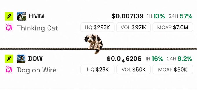 The image displays pricing data for "HMM" (Thinking Cat) and "DOW" (Dog on Wire) cryptocurrencies, humorously accompanied by a photo of a dog balancing on a tightrope wire. HMM shows a price of $0.007139 with $293K liquidity and a $7.0M market cap, while DOW trades at $0.046206 with just $23K liquidity and a $60K market cap—suggesting DOW may be the "undervalued" one given its dramatically lower metrics.