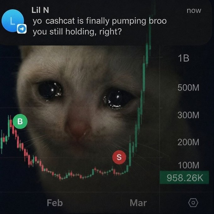 A screenshot of a cryptocurrency chart overlaid with a crying kitten meme, featuring a Telegram message from 'Lil N' saying 'yo cashcat is finally pumping brooo you still holding, right?' with a current price of 958.26K.