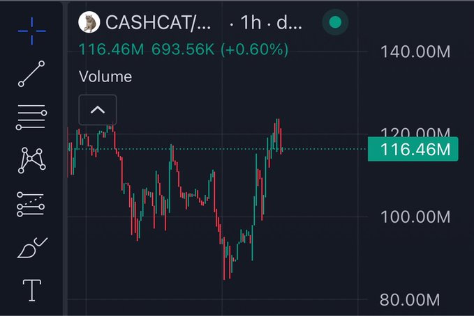A TradingView-style chart of the CASHCAT token shows a price of 116.46M with a +0.60% gain (693.56K) on a 1h timeframe, displaying volatile candlestick action. The green price label at 116.46M is highlighted, matching the morning bullish sentiment of the "hood morning cat believers $CASHCAT" post.