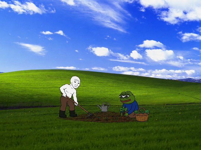 The classic "Windows XP Bliss" desktop background is humorously altered to show a cartoon farmer with a hoe and a sad Pepe the Frog with a basket gardening together on the green hill.
