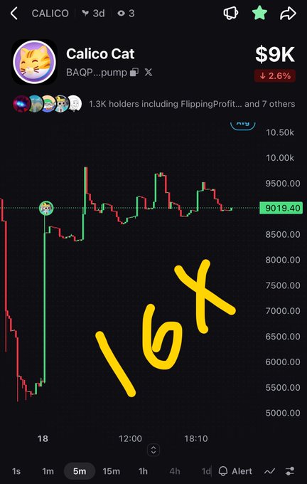 Trading chart for 'Calico Cat' token (BAQP...pump) showing a 2.6% price drop to $9K, with '16X' handwritten in yellow over the chart displaying candlestick price movements.