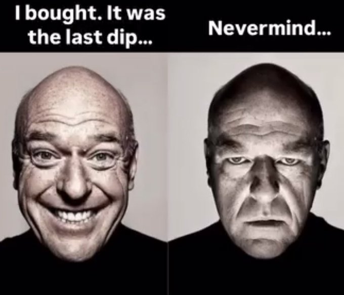 A two-panel meme featuring a bald man; the left side shows him smiling with the text 'I bought. It was the last dip...' and the right side shows him looking stern with the text 'Nevermind...'.