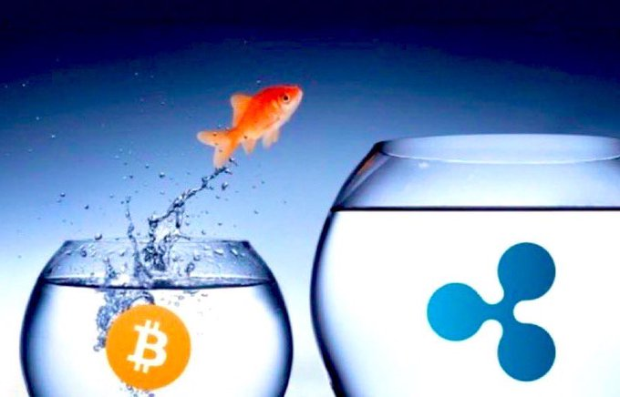 A goldfish leaps out of a small bowl marked with the Bitcoin (₿) logo into a larger bowl displaying the XRP (Ripple) logo, symbolizing a transition from Bitcoin to XRP. The visual perfectly complements the message "Make the jump to $XRP."