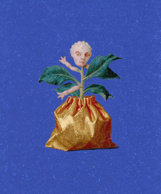 A surreal collage illustration on a blue background showing a gold drawstring sack from which a plant with green leaves grows; the plant's top is a human-like head with small arms, evoking the mythological figure Daphne.