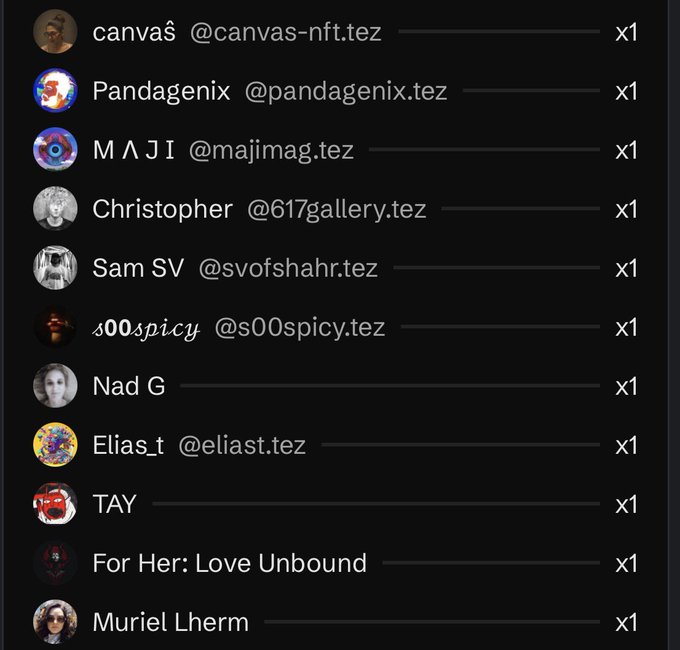 A dark-themed list of NFT artists/collectors with Tezos domain handles (e.g., @canvas-nft.tez, @pandagenix.tez, @majimag.tez) each showing 'x1' entries.