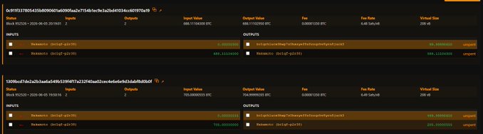 The image shows a website with a list of Bitcoins being liquidated at the moment. It contains information about Bitcoin Treasuries taken out from a loan at the end of May, NAKA's total asset amount, their collateral value, and the current market price per Bitcoin in US Dollars. The post discusses this scenario with an emphasis on cryptocurrency lending and investing opportunities for Bitcoin holders.