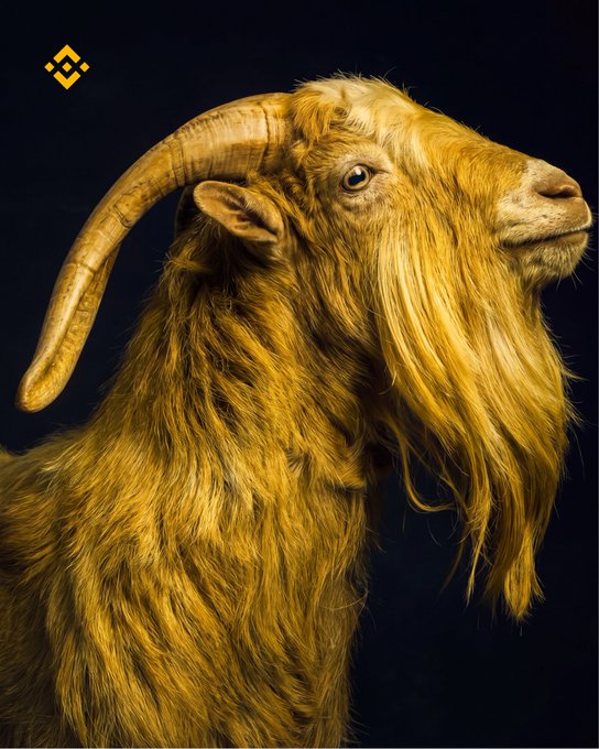 A detailed digital portrait of a golden goat with curved horns and long flowing fur against a dark background, featuring a Binance logo in the upper left corner.