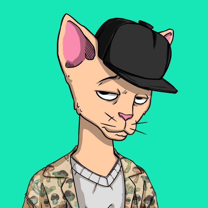 An anthropomorphic feline character wearing a black cap and a patterned jacket looks off to the side with a tired, unamused expression against a teal background. The cool, detached vibe of the character fits the post's casual crypto giveaway announcement, projecting an indifferent, "whatever happens, happens" attitude toward the 8-hour SOL drop.