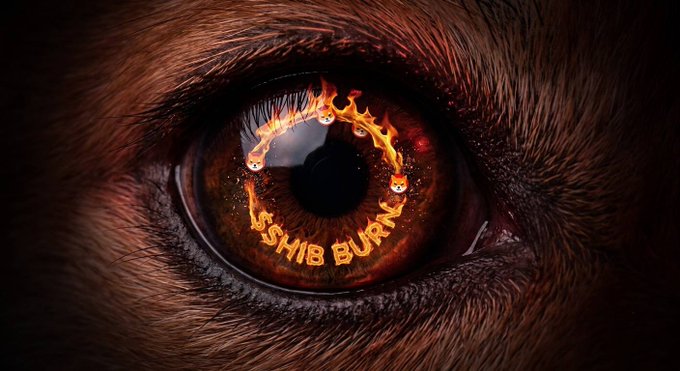 A close-up digital artwork of an animal's eye with the pupil replaced by a flame and the text 'SHIP BURN' visible in the iris.