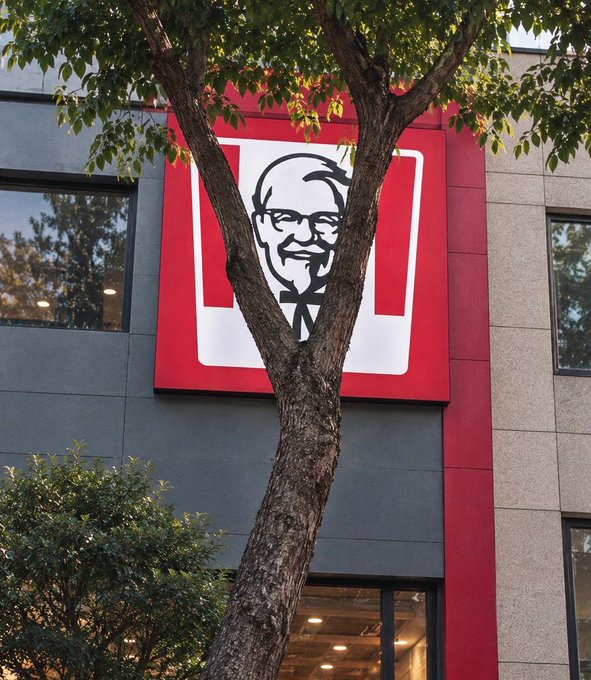 A KFC storefront sign featuring the classic logo, with a tree partially blocking the image in front of the red and white sign.