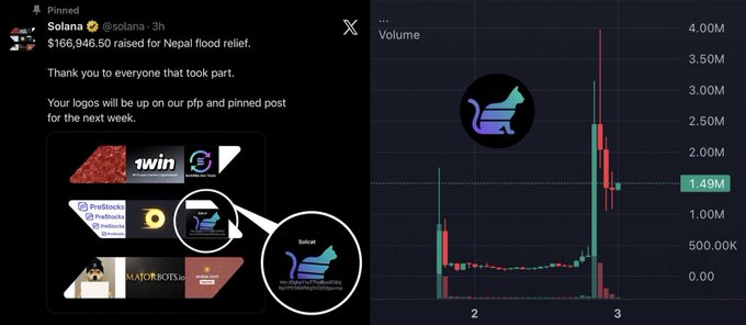 A Solana Twitter post announces $166,946.50 raised for Nepal flood relief via PFP auctions featuring logos like "1win," "PayHooks," "MajorBots," and $SOLCAT, paired with a trading chart showing the $SOLCAT memecoin's volume peaking near 4M before stabilizing around 1.49M, illustrating its modest $4M market cap following the charity auction event.