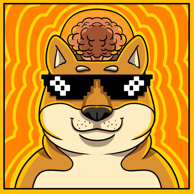 A digital illustration of a smiling shiba inu dog wearing pixelated sunglasses and a helmet, with a visible brain on top of its head, set against a wavy orange background.