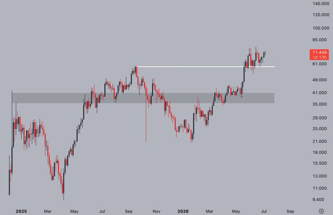 A candlestick chart showing price action from 2025 through mid-2026, with the current price highlighted at **71.449** (up 13%) near the **$61,000** horizontal support level, illustrating the upward momentum referenced in the post about holding a position in anticipation of reaching $100.