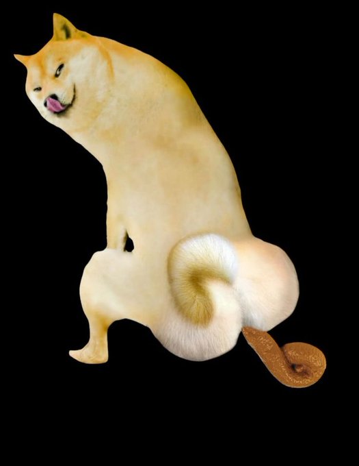 A digitally manipulated image of a Shiba Inu dog with an exaggerated, elongated body in an awkward seated pose against a black background, resembling the Doge meme.