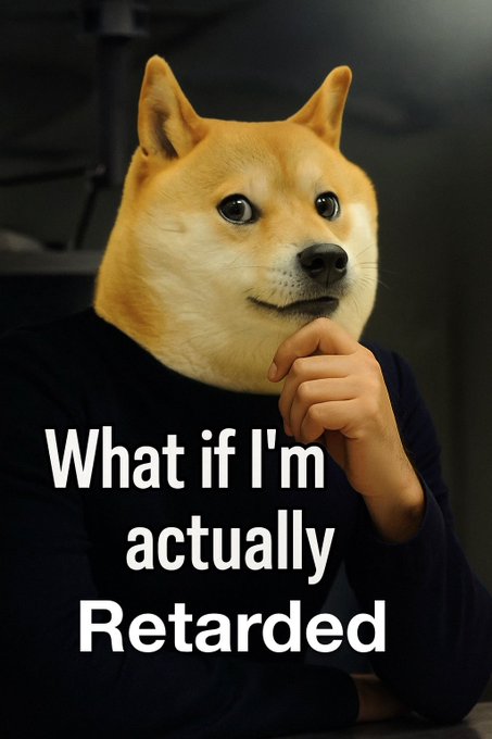 A Doge meme image shows the Shiba Inu dog wearing a black shirt with its paw to its chin in a thinking pose, overlaid with the text 'What if I'm actually Retarded'.