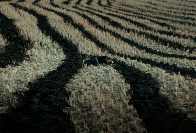 An aerial view of a person lying down in a harvested field, with rows of dry stalks casting long diagonal shadows across the dark ground.