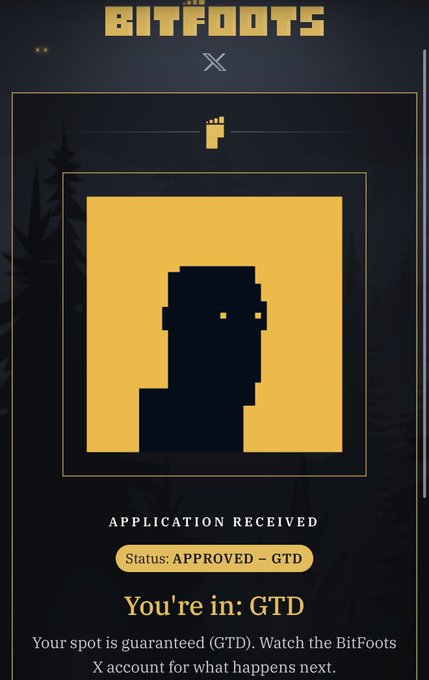 A digital notification from BitBoots X account confirming 'APPLICATION RECEIVED' with a status of 'APPROVED - GTD' and stating 'You're in: GTD'.