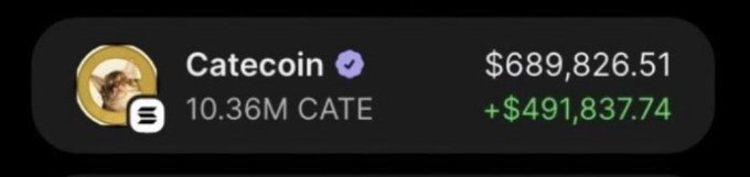 A screenshot shows a portfolio holding of 10.36M CATE (Catecoin) valued at $689,826.51, with a profit of +$491,837.74 in green. The image visually validates the poster's claim of being up $689,826 on $CATE, serving as proof of their trading success to encourage followers.