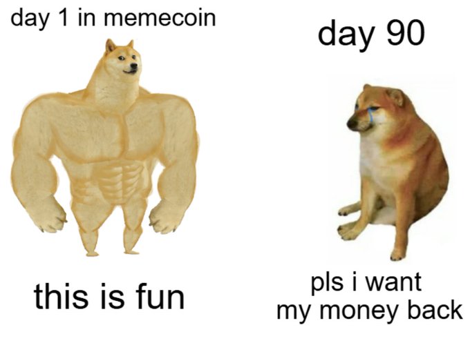A two-panel meme titled 'day 1 in memecoin' showing a buff 'Swole Doge' on the left saying 'this is fun', contrasted with a sad crying Shiba Inu on day 90 saying 'pls i want my money back'.