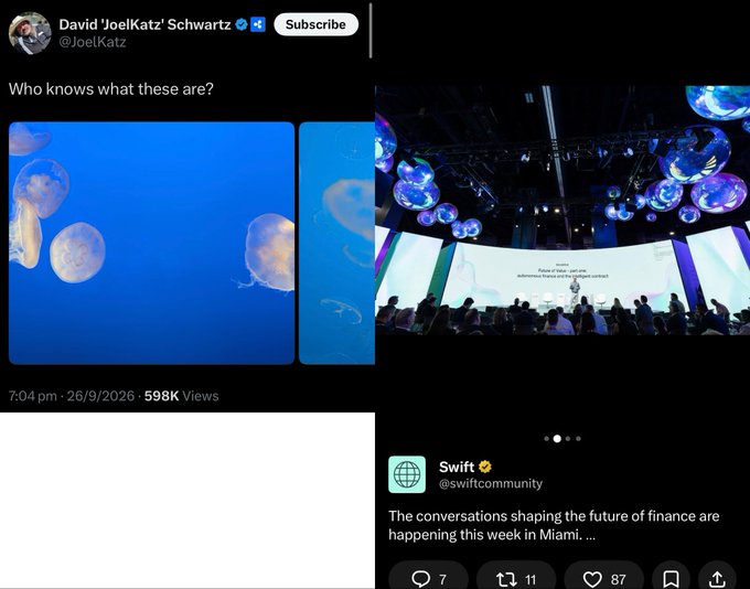 A screenshot of a tweet from David "JoelKatz" Schwartz asking "Who knows what these are?" alongside images of jellyfish at an event, paired with a quote tweet from @swiftcommunity promoting their Sibos conference in Miami, which features similar illuminated jellyfish-like displays hanging from the venue's ceiling.