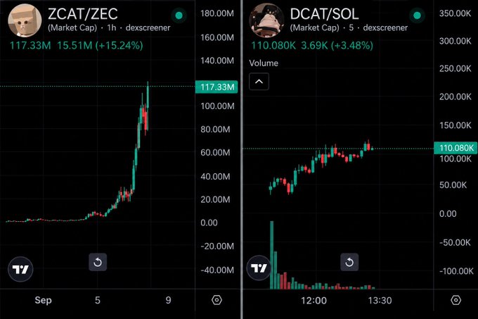The image shows bullish Dexscreener charts for $ZCAT/ZEC at 117.33M (+15.24%) and $DCAT/SOL at 110.08K (+3.48%), illustrating the post’s comparison of a ~120M “cat” versus a 100K one and the author’s bullish outlook on $DCAT.