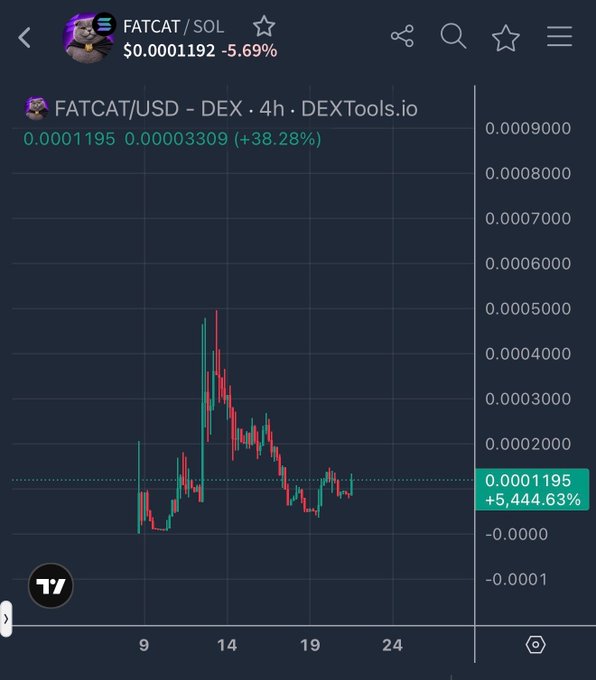 A TradingView chart shows FATCAT/USD (DEX) on Solana priced at $0.0001192, down 5.69%, with the pair up 38.28% over the last 4 hours and a massive +5,444.63% gain overall, supporting the post's bullish outlook on $FATCAT reaching a 1–10 million market cap.