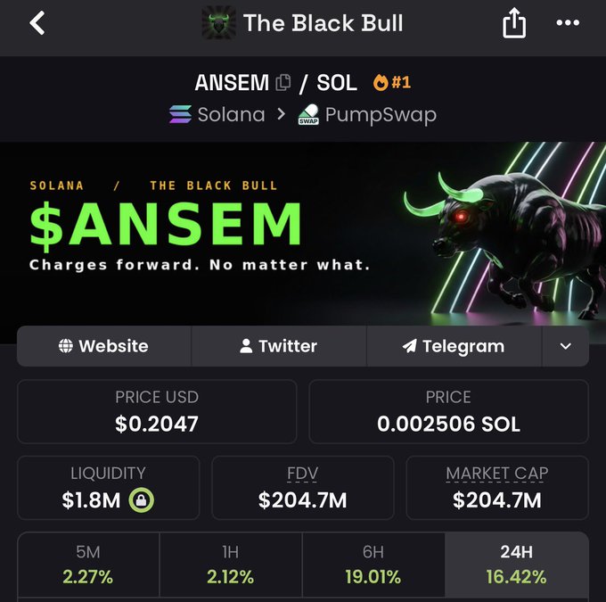 A screenshot of the $ANSEM token ("The Black Bull") on Solana via PumpSwap shows a price of $0.2047, market cap and FDV of $204.7M, with gains of 2.27% (5M), 2.12% (1H), 19.01% (6H), and 16.42% (24H) — supporting the post's claim of a new ATH during "Solana summer."