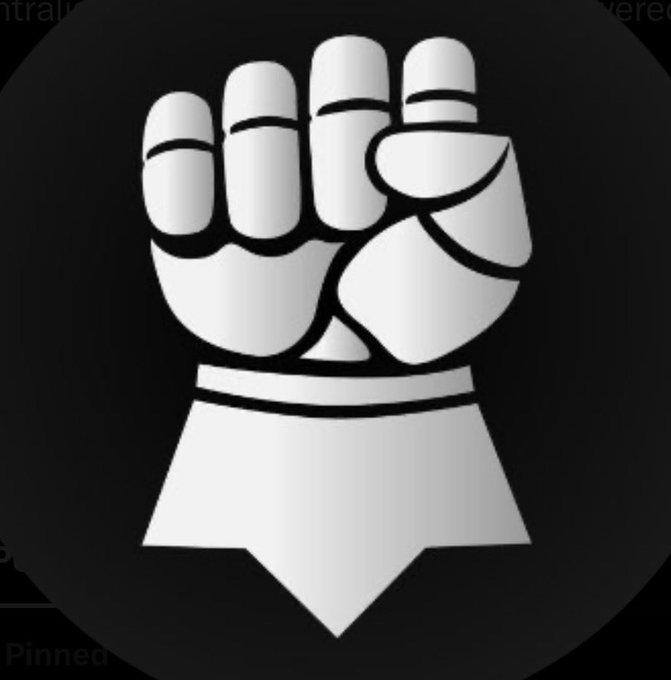 A black and white icon of a clenched fist, appearing to be part of an app interface with 'Pinned' shown below.