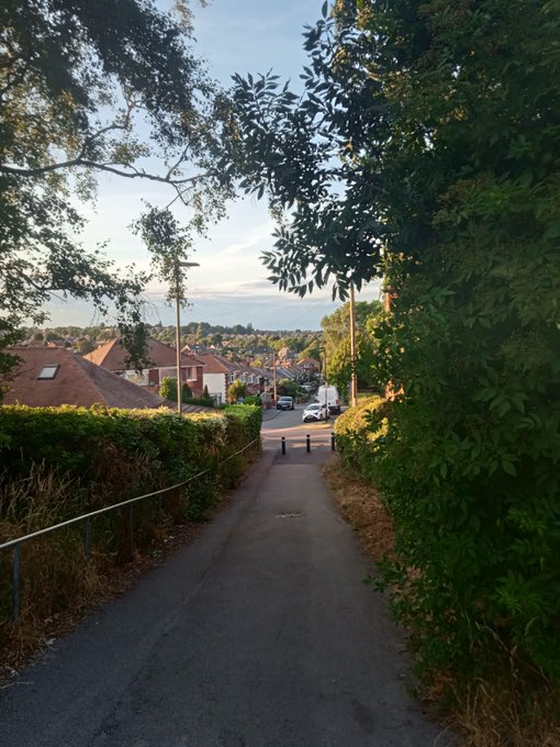 A scenic photo looking down a tree-lined residential street toward a distant town under a hazy evening sky.