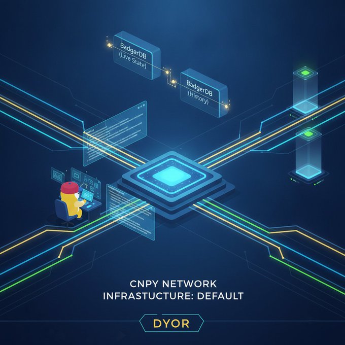 A tech-style infographic titled "CNPY NETWORK INFRASTRUCTURE: DEFAULT" with a "DYOR" button, depicting a small character at a computer connected to "BadgerDB (Live State)" and "BadgerDB (History)" databases.