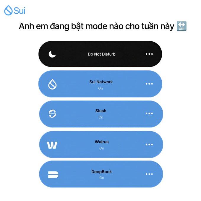 The image shows a blue button with white text that says "Do not disturb" at the top, followed by four options for different modes of communication displayed below it. The first option is "Sii network", the second one is "Slush", the third one is "W", and the fourth one is "On".