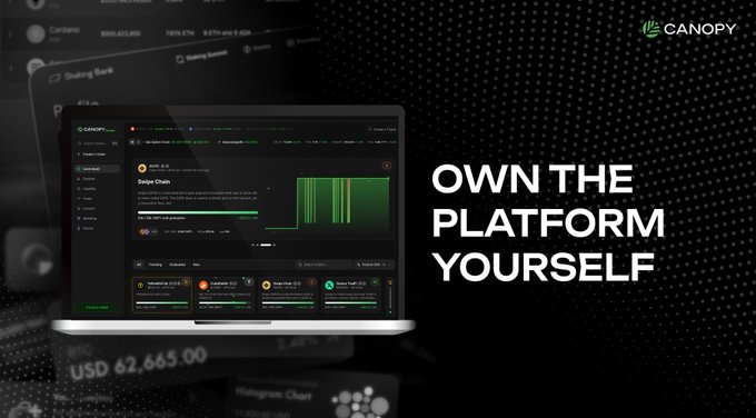 The image shows an open laptop displaying a blockchain application called "Gm CT. @CNPYNetwork is taking us back to the origin of crypto." The title suggests that the platform is designed for users to manage their cryptocurrency assets independently, away from centralized systems and traditional banks. This concept aligns with the original idea behind blockchain technology: reducing dependence on centralized control by offering a decentralized alternative where users can manage their own transactions securely and transparently.