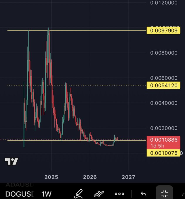 A TradingView weekly chart for DOGUSD shows the crypto pair's dramatic rise to a peak of 0.0097909 in late 2024, followed by a steep decline to around 0.0010078–0.0010886 through 2026, visually reinforcing the post's warning that "Many will chase….Few will make it. $DOG."