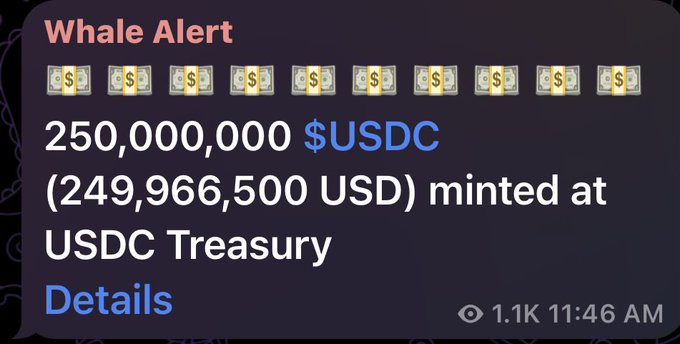 A "Whale Alert" notification reports that 250,000,000 USDC (valued at $249,966,500) was minted at the USDC Treasury, reflecting the post's note of a $250M liquidity increase in USDC on Solana.