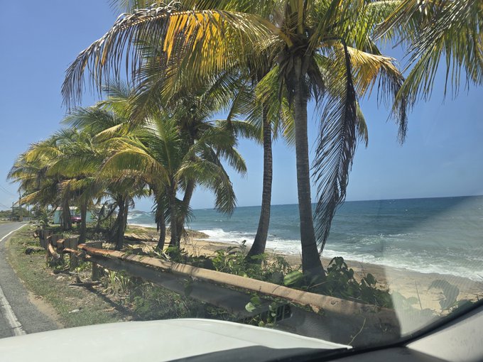 A scenic view from inside a vehicle shows a coastal road lined with palm trees overlooking the blue ocean.
