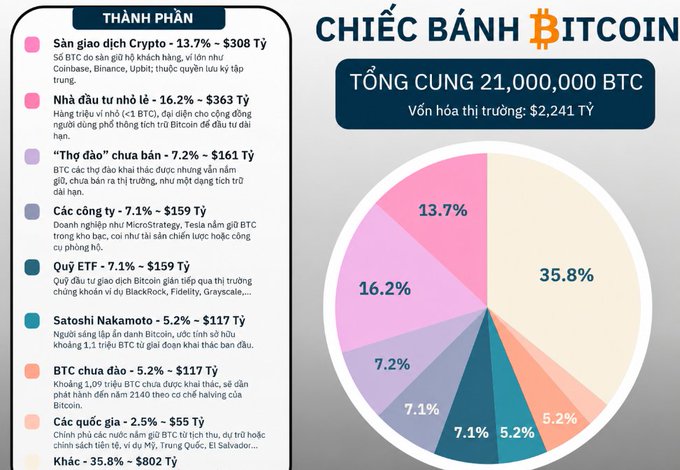 A Vietnamese infographic titled 'CHIẾC BÁNH BITCOIN' (Bitcoin Pie) showing a pie chart breakdown of Bitcoin ownership: 35.8% Khác (Other), 16.2% Nhà đầu tư nhỏ lẻ, 13.7% Sàn giao dịch Crypto, 7.2% 'Thợ đào' chưa bán, 7.1% Các công ty, 7.1% Quỹ ETF, 5.2% Satoshi Nakamoto, 5.2% BTC chưa đào, 2.5% Các quốc gia.
