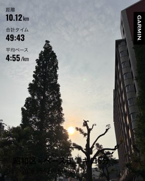 Garmin running app screenshot showing a 10.12 km run with a total time of 49:43 and average pace of 4:55/km, set against a sunset sky in what appears to be Toshima Ward.