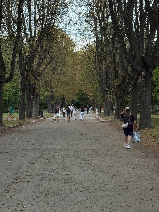 A tree-lined pathway in a park with pedestrians walking, where a person in a brown t-shirt and shorts carrying a tote bag walks toward the camera.