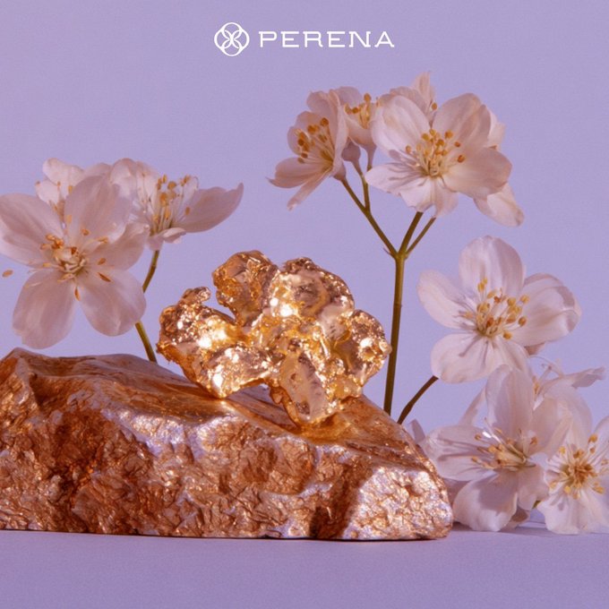 The image features the "PERENA" logo at the top, with a gold-colored rock holding a textured golden nugget, surrounded by delicate pink cherry blossoms against a soft lavender background, visually representing the concept of earning yield on gold ("shiny rocks") as described in the post about the GOLD token.