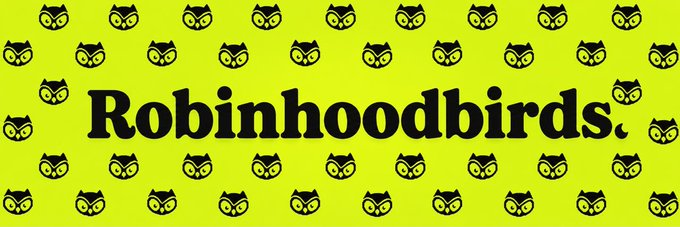 A bright yellow-green graphic with repeating owl logos and bold black text reading 'Robinhoodbirds.'