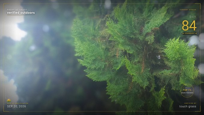 A nature scene showing a close-up of green coniferous foliage with overlay graphics reading "verified outdoors," "CURRENT STREAM DAY 84 LEGENDARY +," "SEP 20, 2026," and "CERTIFIED BY touch grass."