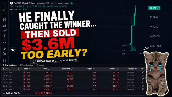 A video thumbnail titled 'HE FINALLY CAUGHT THE WINNER... THEN SOLD $3.6M TOO EARLY?' shows a CASHCAT/WETH trading chart on dex screener, depicting a massive price spike from $0.1387 to $0.1989, with a crying cat meme on the right.