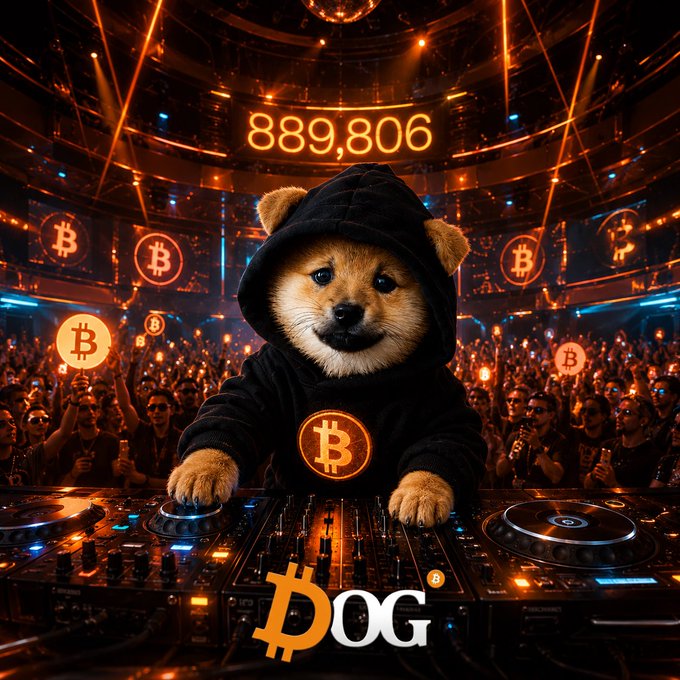 The image features a brown dog wearing a black hoodie with a Bitcoin symbol on it, standing behind a DJ booth at an event. The background of the image shows a stage with a large screen displaying the number "889,856". The caption below the image reads "DOG" and "RuneJune", possibly referring to the Bitcoin logo or the name of the club hosting the event.