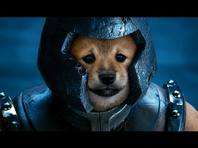 A close-up image of a Shiba Inu dog wearing weathered, dark metal armor, including a helmet that frames its face.