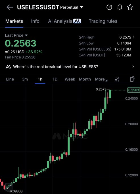 The screenshot displays the USELESSUSDT perpetual futures chart on a trading platform, showing a last price of $0.2563 with a 36.92% gain and a 24h high of $0.2575. The 1-hour candlestick chart illustrates a sharp upward trend from around $0.098 to its current peak, visually supporting the post's bullish claim that USELESS is in early stages of a major memecoin rally similar to early PEPE and SHIB cycles.