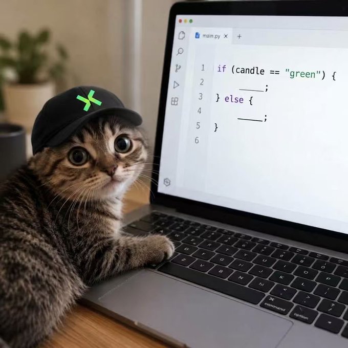 A tabby cat wearing a black cap with a green logo sits next to a laptop displaying Python code with the condition `if (candle == "green")`.