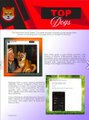 A small thumbnail image showing a 'Top Bows' web page header with an orange cat logo and product images.
